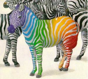 Rainbow zebra