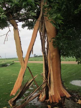 photo credit: Lois Wielenga