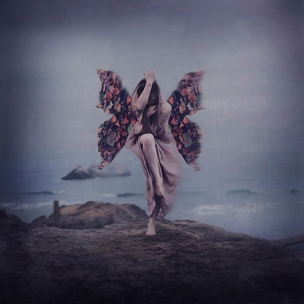 8116527962_d3200e4fd0_z