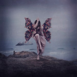 8116527962_d3200e4fd0_z