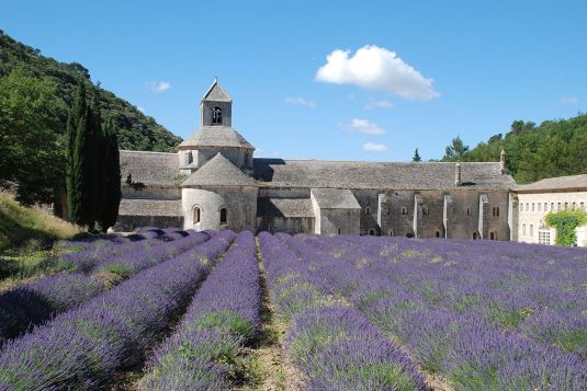 Abbey in France with lavender field-"Sénanque 06" by EmDee