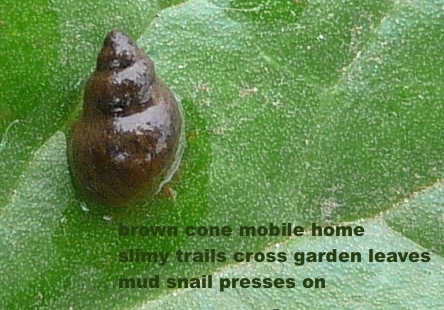 photo credit: afbini.gov.uk