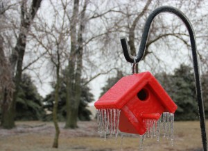 IMG_0925 - Version 2