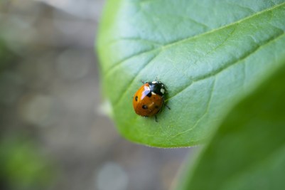 photo credit: dreamstime