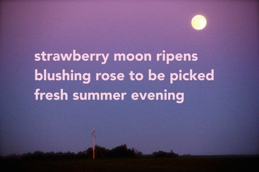 IMG_4693 - Version 3