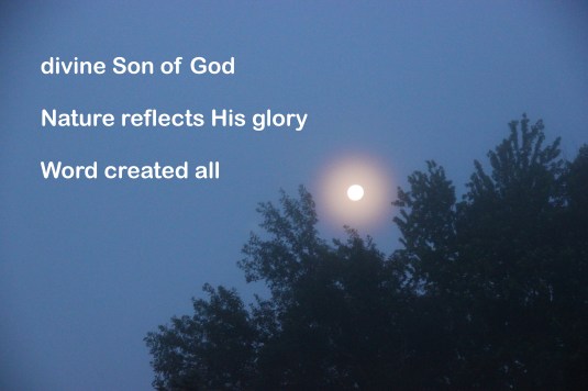 haiga/photo by lynn__