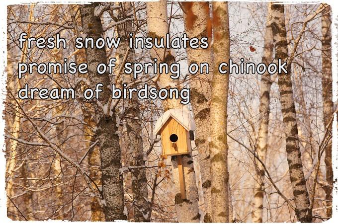 2016-01-24-11-45-58_fotor-1 copy