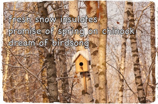 2016-01-24-11-45-58_fotor-1 copy