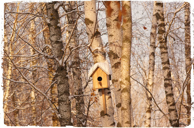 2016-01-24-11-45-58_fotor-1