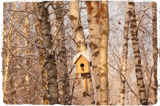 2016-01-24-11-45-58_fotor-1