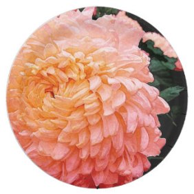 dark_peach_watercolor_chrysanthemum_paper_plate-rb64bfcf49bb540a99ef8e59cda8fc064_zkbhg_324