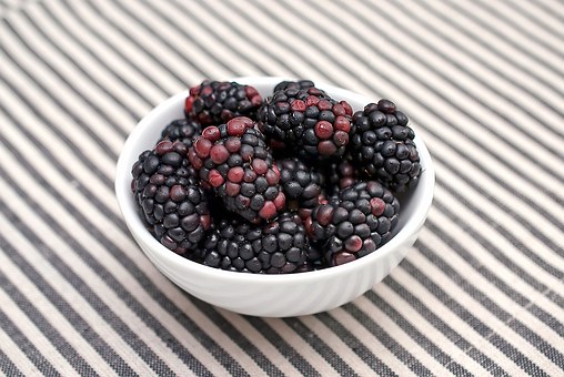 blackberries-1113734__340