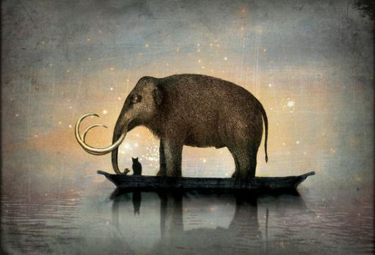 silent-night-catrin-welz-stein-acrylic-glass-print