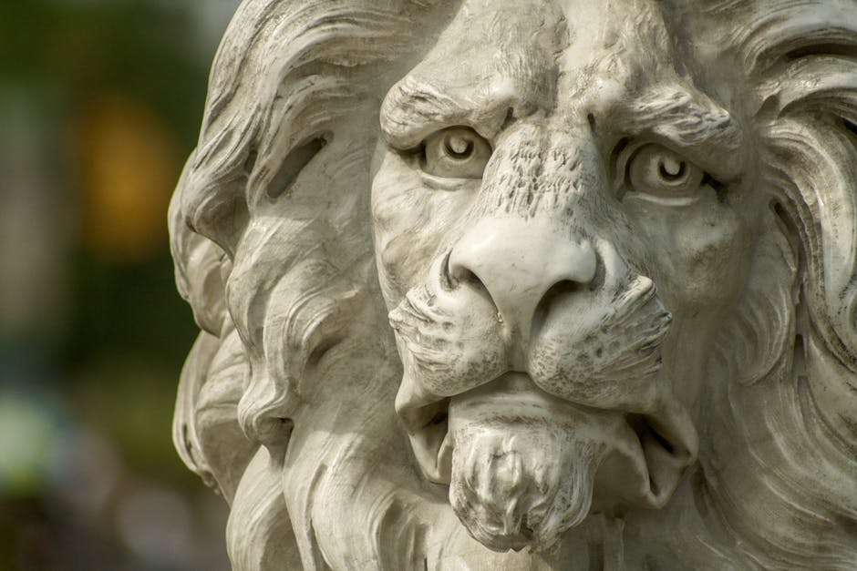 lion-statue-zoo-37609