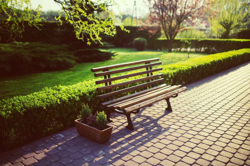 bench-garden-grass-evening