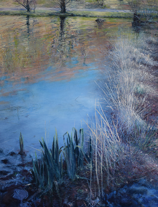 grasses-at-ennerdale-water-1-5mb