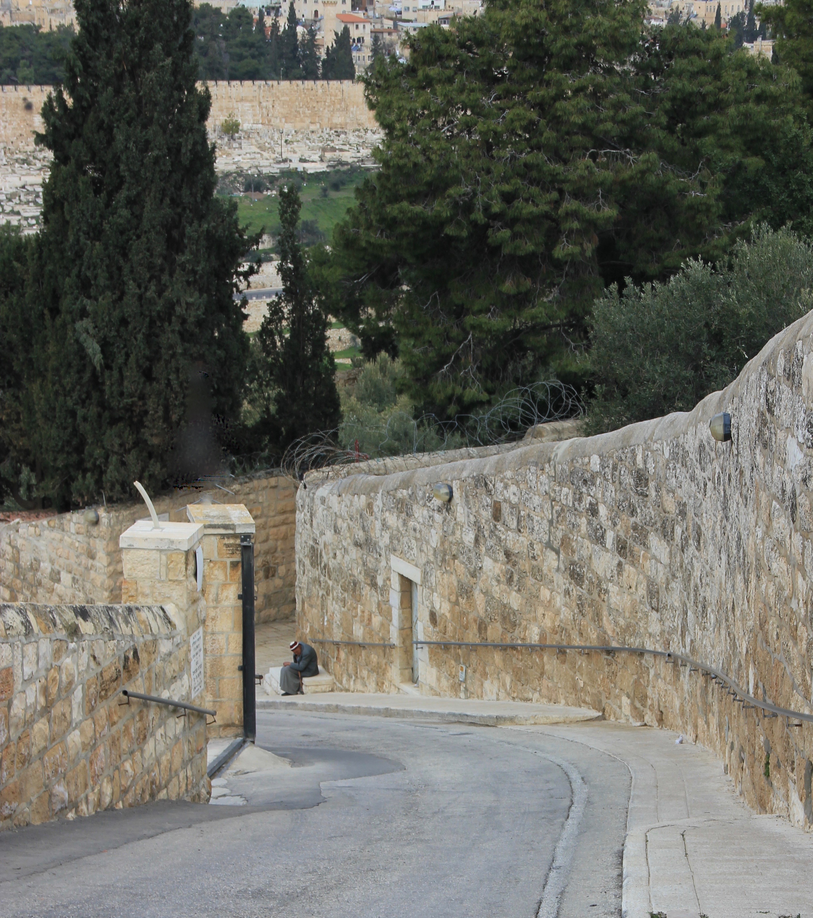 way of Christ’s triumphal entry (beggar)