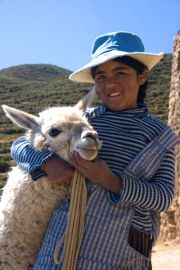 smallAlpaca.peru