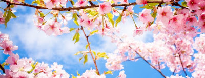 spring+is+in+the+air