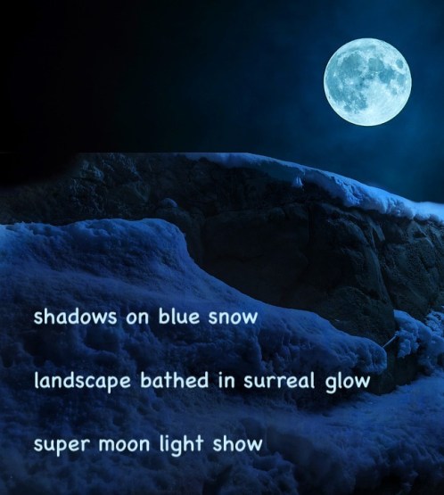 Snow Landscape Fullmoon Night Mountain