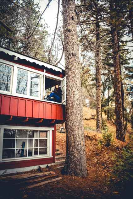 pexels-photo-2050593