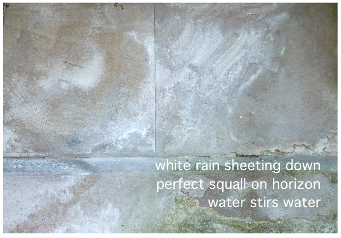 Screen Shot 2019-05-22 at 2.43.11 PM