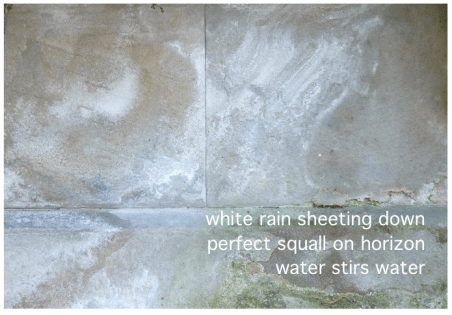 Screen Shot 2019-05-22 at 2.43.11 PM