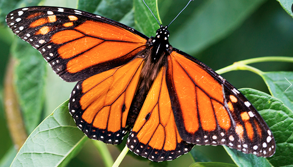 Screen Shot 2019-09-30 at 9.02.55 PM