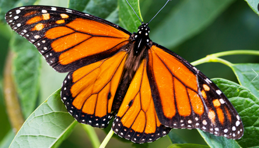 Screen Shot 2019-09-30 at 9.02.55 PM