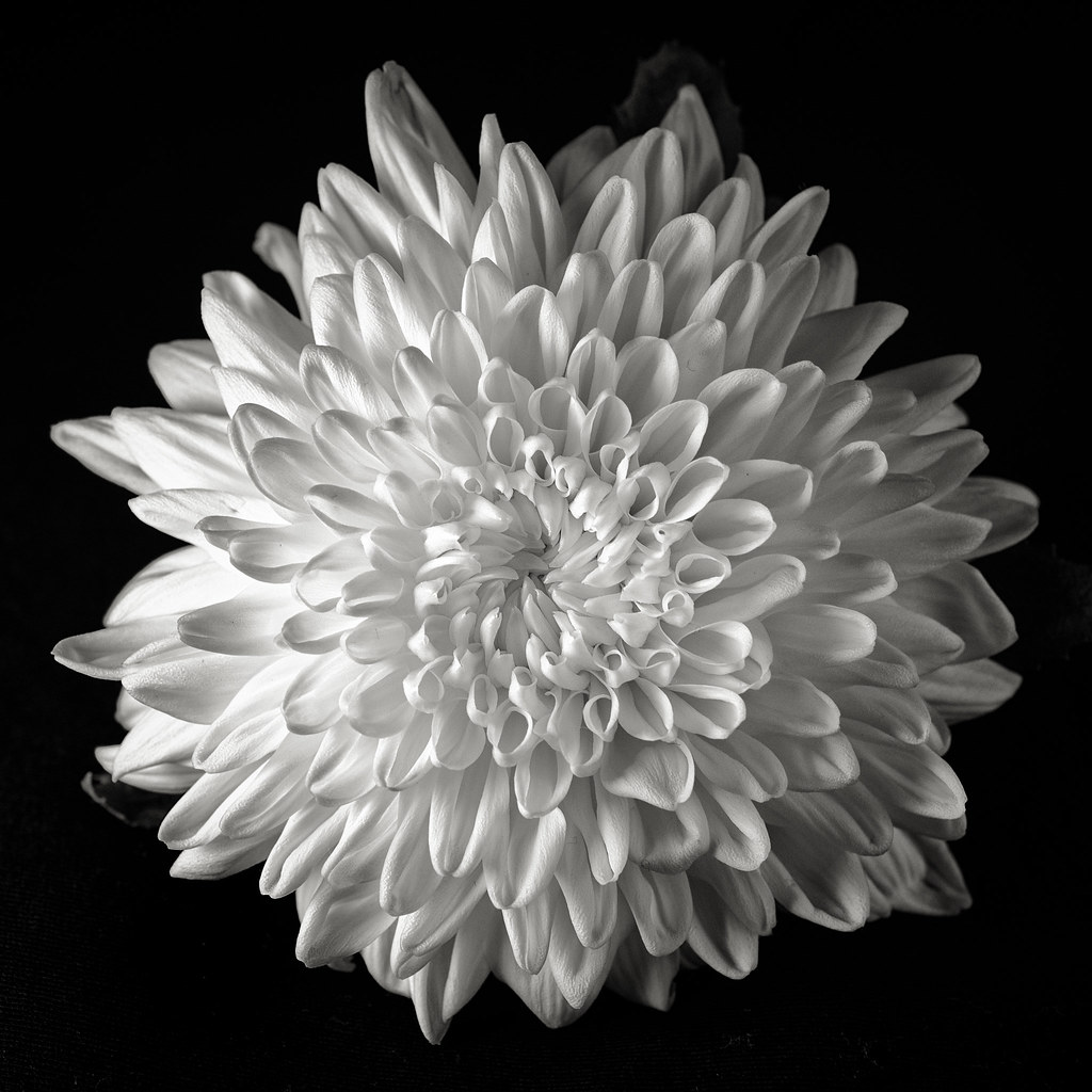 9396328071_60d361c886_b